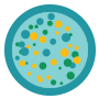 Disease icon